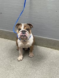 *BUDDY - Photo 1