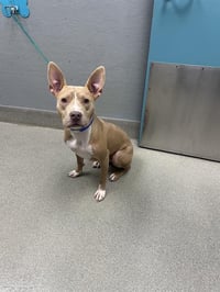 ZEUS - Photo 1