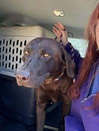 Smokey - Photo 3