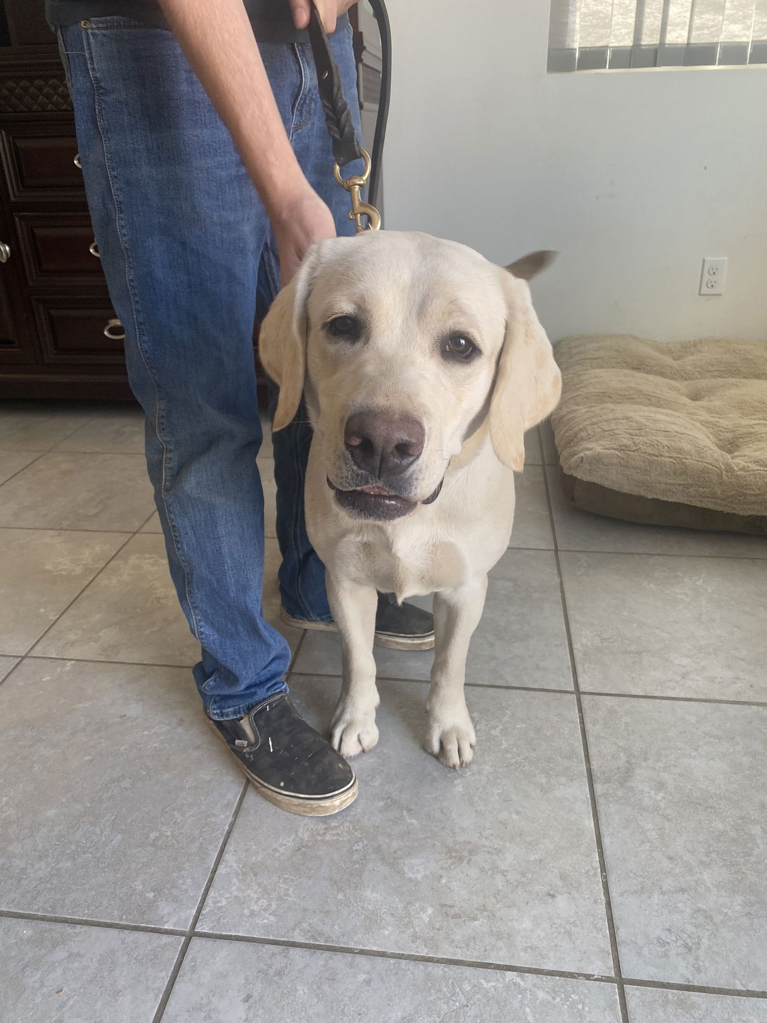 Michelangelo - Photo 3