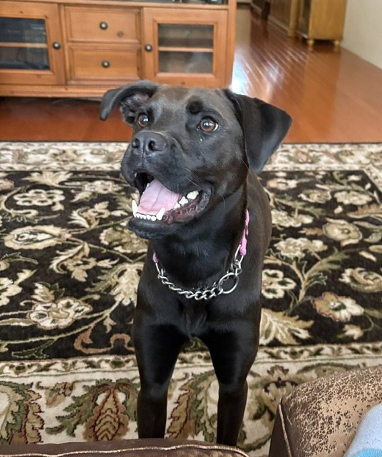 Winnie Image