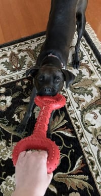 Winnie - Photo 3