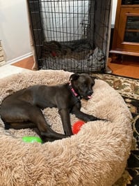 Winnie - Photo 4