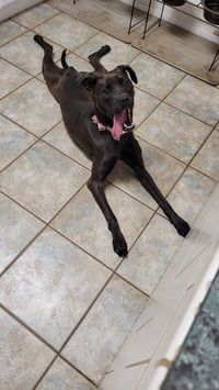 Winnie - Photo 7