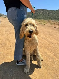 Ferrell - Photo 1