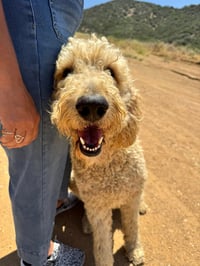 Ferrell - Photo 2