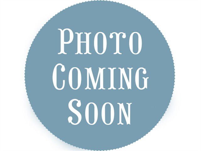 ZEUS - Labrador Retriever / American Staffordshire Terrier available for adoption