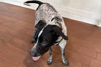DUNCAN - Photo 1