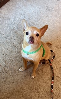 Chewy - Photo 2