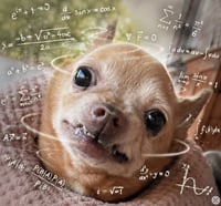 Chewy - Photo 5