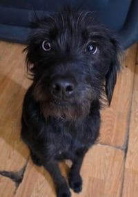 COURTESY POSTING Pretty Girl & Shadow - Photo 2