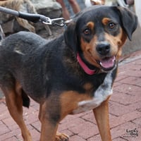Maya - Photo 4