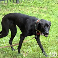 Milee - Photo 4