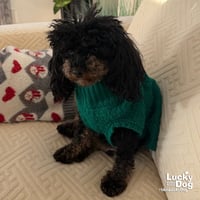 Baylee - Photo 1