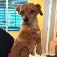 Fredo - Photo 2