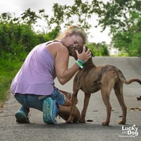 Cooper - Photo 4