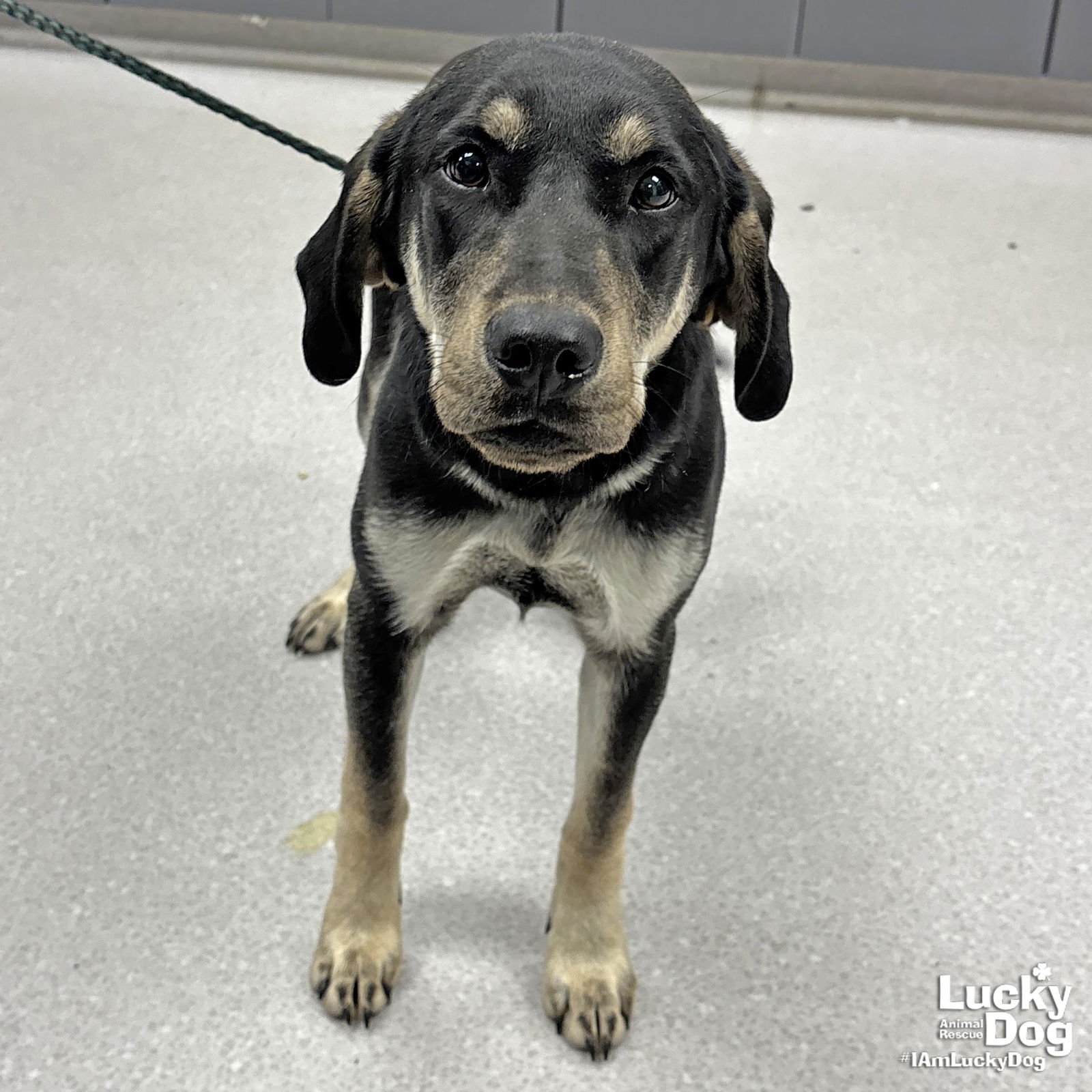 Mr. Coffee - Photo 3