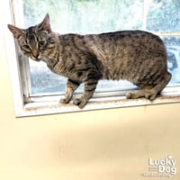 Twix - Photo 4