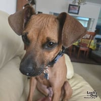 Francesca - Photo 3