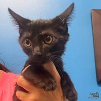 Timmie - Photo 1