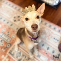 Nyla - Photo 2