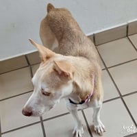 Nyla - Photo 3