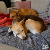 Nyla - Photo 4