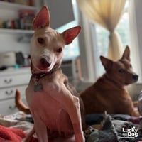 Nyla - Photo 3