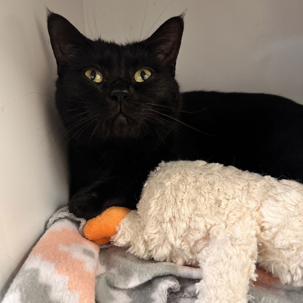 Gladys Knight - Photo 3