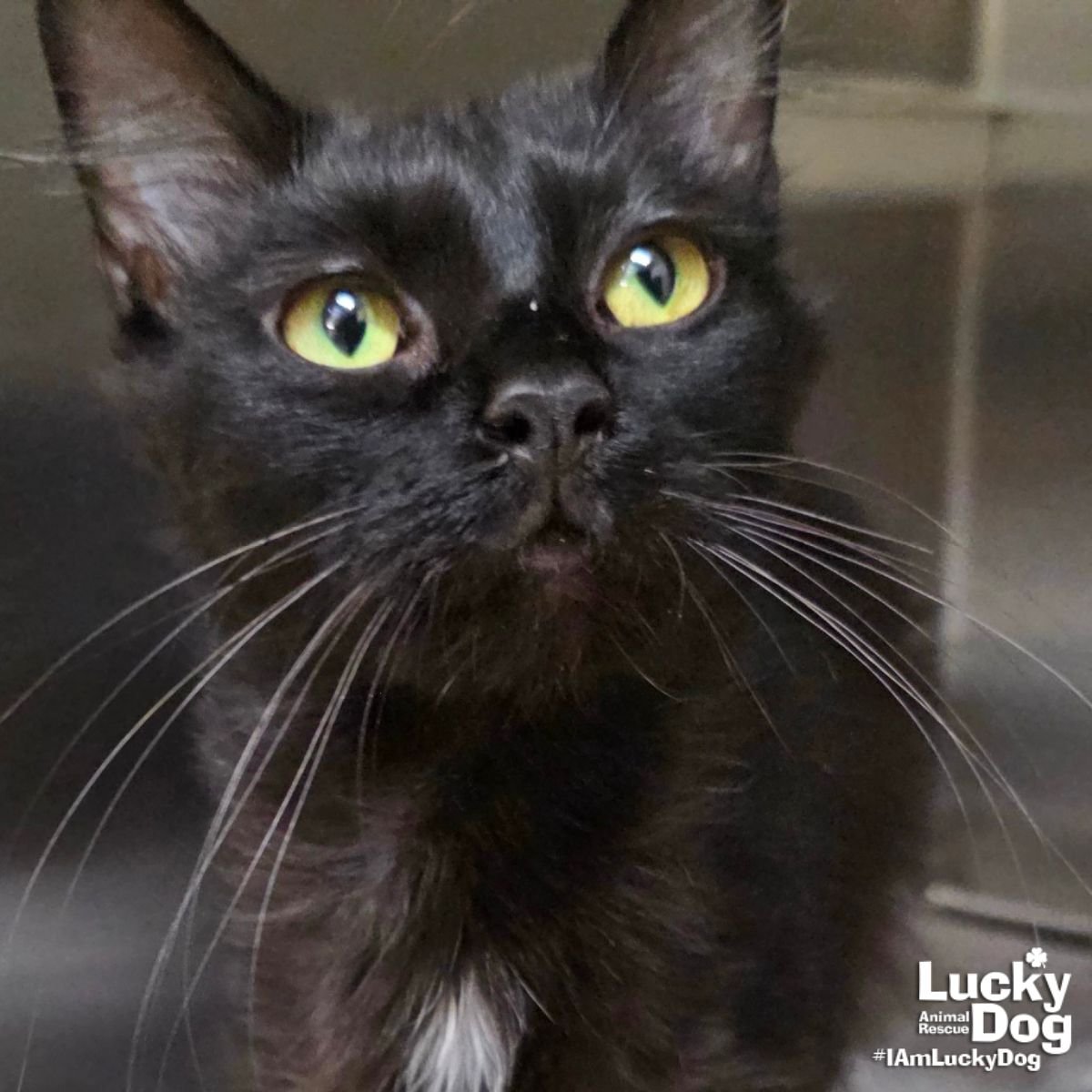 Anne Hathaway - Photo 3