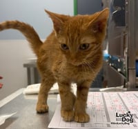 Dwight - Photo 3