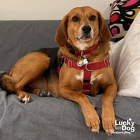 Mr. Parker - Photo 4