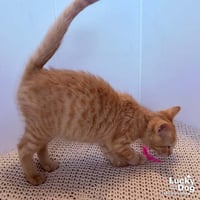 Albert - Photo 4