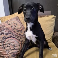 Walter - Photo 1
