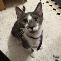 Zaxby - Photo 3