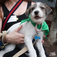 Tiny - Photo 3