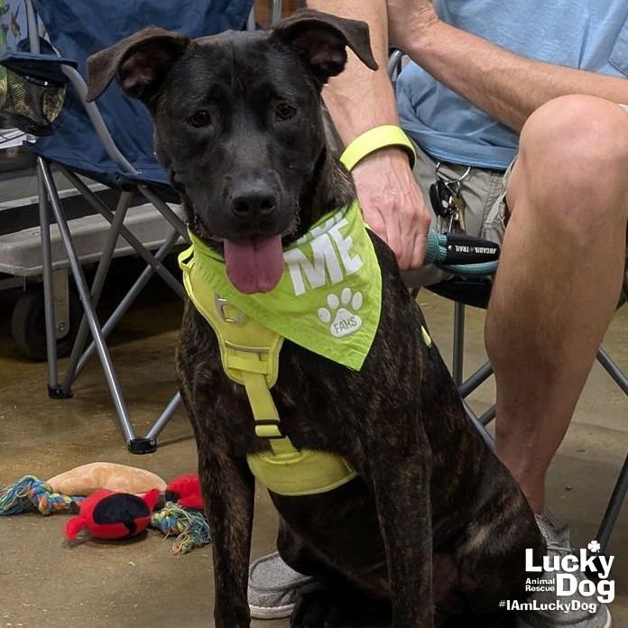 Ms. Frizzle - Photo 3