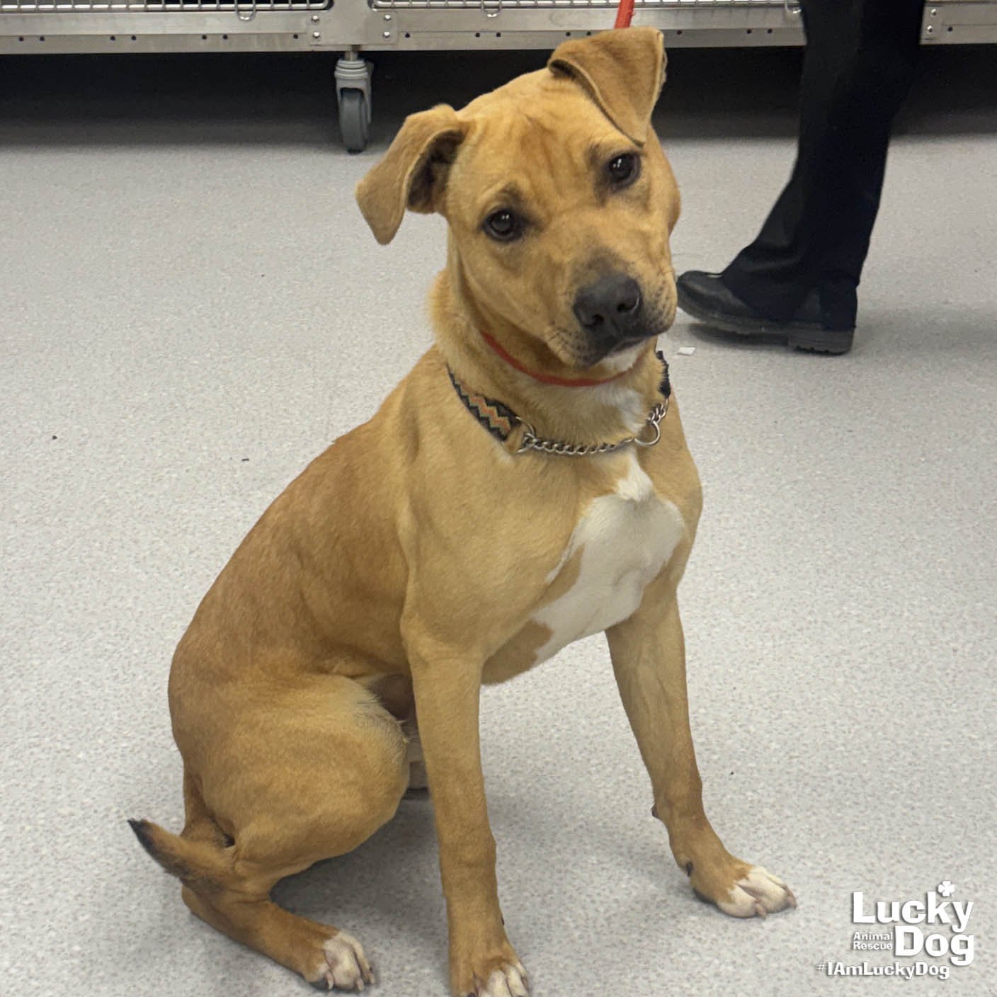 Antarctica - Photo 3