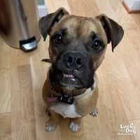 Sir Benjamin Button - Photo 4