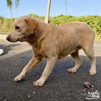 Spunky - Photo 2