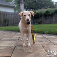 Spunky - Photo 4