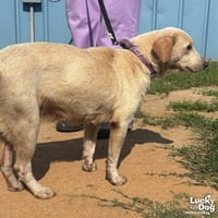 Spunky - Photo 3