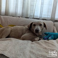 Spunky - Photo 3