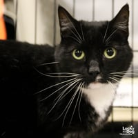 Libby - Photo 4