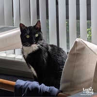 Libby - Photo 2