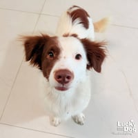 Tessy - Photo 2