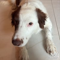 Tessy - Photo 3