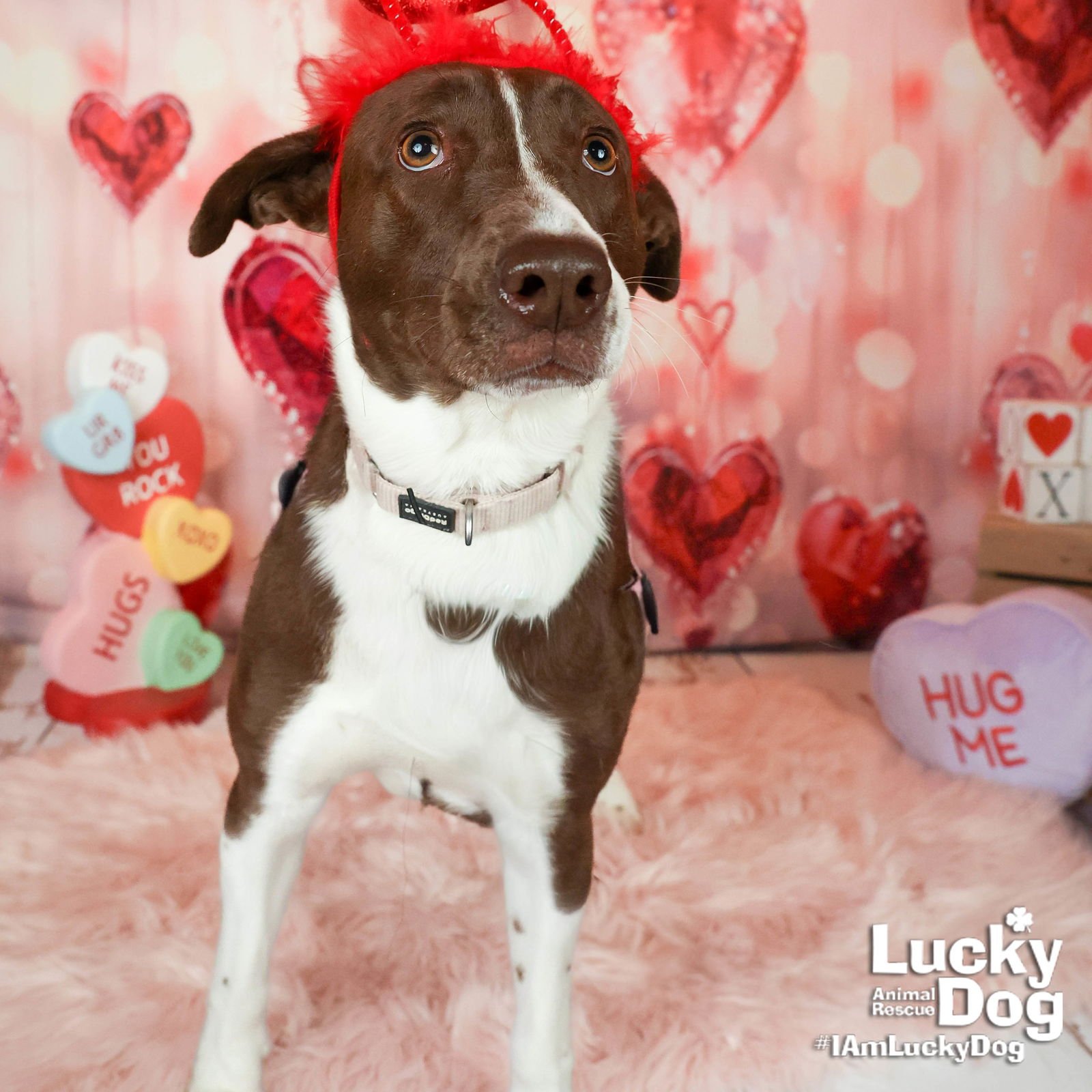 London Bridge - Photo 3