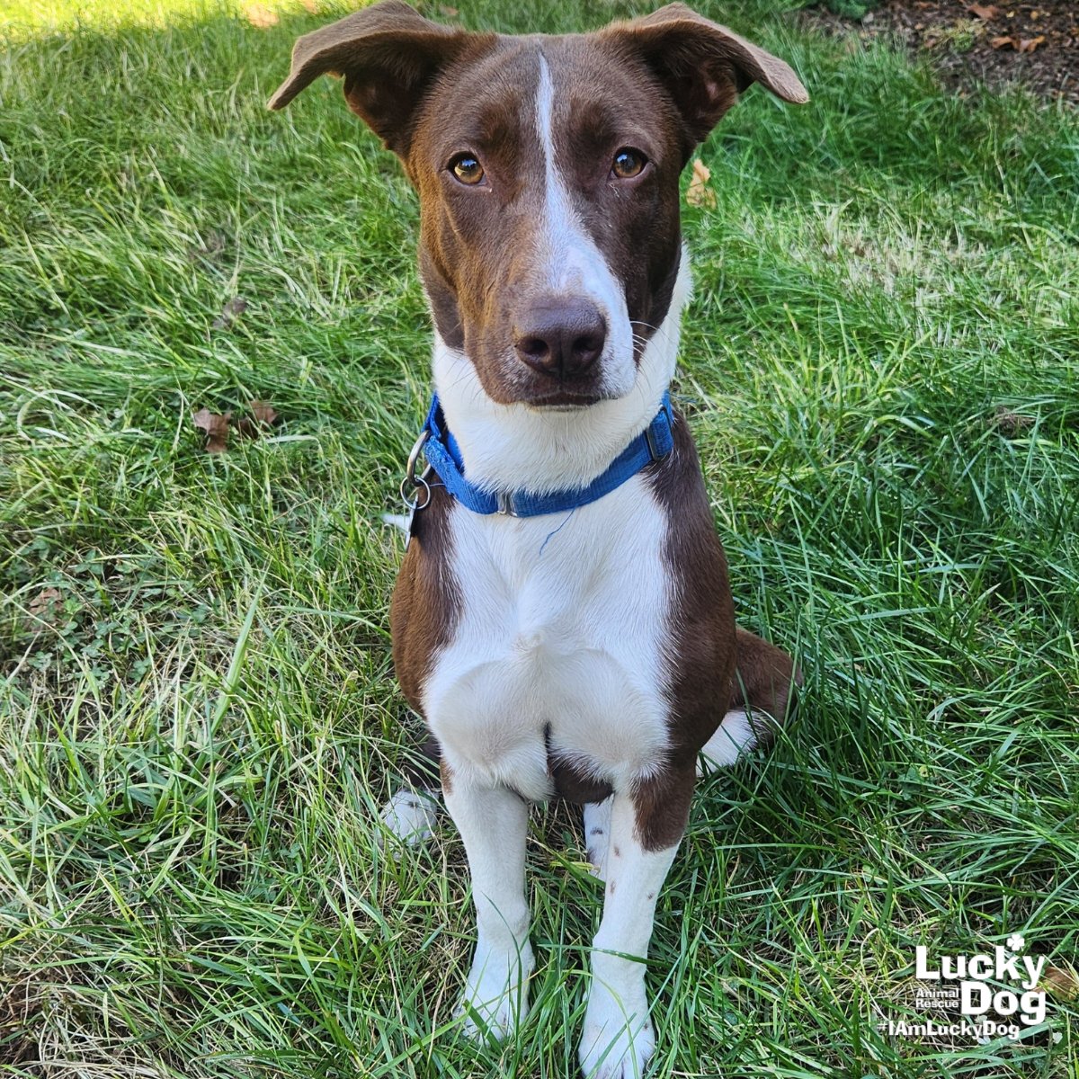 London Bridge - Photo 4