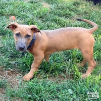Ethel - Photo 4
